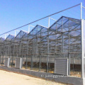 Hydroponics Agriculture Productive Agriculture Green Houses